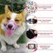LUCKYPAW Dog Muzzle Anti Biting Barking and Chewing with Comfortable Mesh Soft Fabric and Adjustable Strap Suitable for Small Medium and Large DogsPink CakeS