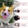 LUCKYPAW Dog Muzzle Anti Biting Barking and Chewing with Comfortable Mesh Soft Fabric and Adjustable Strap Suitable for Small Medium and Large DogsPink CakeS