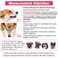 LUCKYPAW Dog Muzzle Anti Biting Barking and Chewing with Comfortable Mesh Soft Fabric and Adjustable Strap Suitable for Small Medium and Large DogsPink CakeS