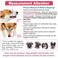 LUCKYPAW Dog Muzzle Anti Biting Barking and Chewing with Comfortable Mesh Soft Fabric and Adjustable Strap Suitable for Small Medium and Large DogsRed TrimL