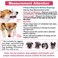 LUCKYPAW Dog Muzzle Anti Biting Barking and Chewing with Comfortable Mesh Soft Fabric and Adjustable Strap Suitable for Small Medium and Large DogsRed TrimL
