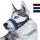 Lepark Nylon Dog Muzzle for SmallMediumLarge Dogs Prevent from BitingBarking and ChewingAdjustable LoopLBlue