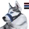 Lepark Nylon Dog Muzzle for SmallMediumLarge Dogs Prevent from BitingBarking and ChewingAdjustable LoopLBlue