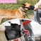 YAODHAOD Nylon Mesh Breathable Dog Mouth Cover Quick Fit Dog Muzzle with Adjustable StrapsPet Mouth Cover to Prevent Biting and Screaming to Prevent Accidental Eating XL Black