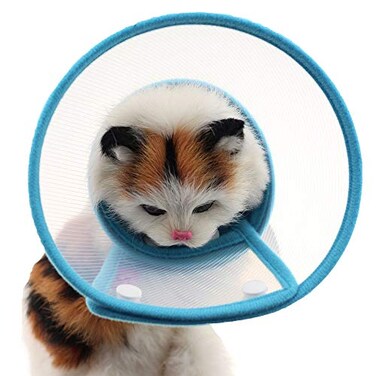 Bolbove Pet Plastic Clear Cone Recovery ECollar with Dots Design Soft Edge for Small Dogs Cats Small Blue