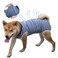Coppthinktu Dog Recovery Suit for Abdominal Wounds Breathable Surgery Recovery Suit ECollar Alternative for SmallMedium Dogs