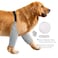 ROZKITCH Dog Surgery Leg Sleeve for Front Legs Adjustable Pet Prevent Licking Wound Elbow Knee Protector Dog Leg Sleeve to Stop Licking Cone Collar Alternative for Sprain ACL CCL Arthritis Grey 2XL