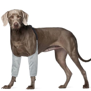 ROZKITCH Dog Surgery Leg Sleeve for Front Legs Adjustable Pet Prevent Licking Wound Elbow Knee Protector Dog Leg Sleeve to Stop Licking Cone Collar Alternative for Sprain ACL CCL Arthritis Grey 2XL