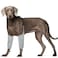 ROZKITCH Dog Surgery Leg Sleeve for Front Legs Adjustable Pet Prevent Licking Wound Elbow Knee Protector Dog Leg Sleeve to Stop Licking Cone Collar Alternative for Sprain ACL CCL Arthritis Grey 2XL