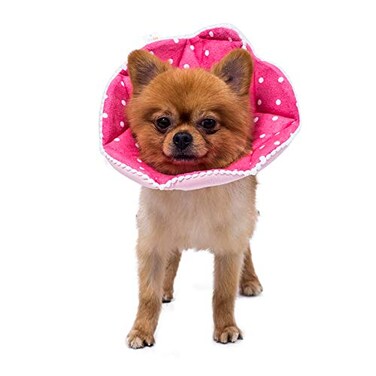 WZ PET Adjustable Dog Cat ConeSoft Recovery Cat Cone CollarDog Protective Collar for Cats and Puppy SurgeryPinkSmall