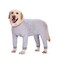 Yeapeeto Dog Onesie Surgery Recovery Suit for Large Medium Bodysuit Dogs Pajamas PJS Full Body for Shedding Prevent Licking Wound Protection Cone Alternative 3XL Grey