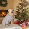 Yeapeeto Dog Onesie Surgery Recovery Suit for Large Medium Bodysuit Dogs Pajamas PJS Full Body for Shedding Prevent Licking Wound Protection Cone Alternative 3XL Grey