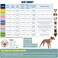 Yeapeeto Dog Onesie Surgery Recovery Suit for Large Medium Bodysuit Dogs Pajamas PJS Full Body for Shedding Prevent Licking Wound Protection Cone Alternative 3XL Grey