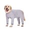 Yeapeeto Dog Onesie Surgery Recovery Suit for Large Medium Bodysuit Dogs Pajamas PJS Full Body for Shedding Prevent Licking Wound Protection Cone Alternative 3XL Grey