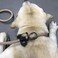 Lucpawz 6FT Reflective Dog Leash Rope Slip Lead Heavy Duty Loop Leash for Large Dogs Slip Pet Lead