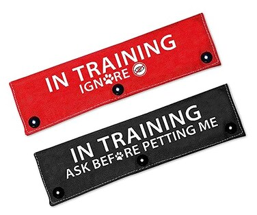 Cgvovgr Humorous Dog Leash Sleeve in Training Ignore Fun Dog Leash Wrap with Alert Design Includes Red and Black 2 Sleeves for Pet Birthday Gift in TrainingSleeve
