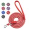 WOPOKY Dog Training Leash for Small to Medium Dogs Rope Dog Leash Chew Proof and Reflective Dog Lead