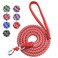 WOPOKY Dog Training Leash for Small to Medium Dogs Rope Dog Leash Chew Proof and Reflective Dog Lead