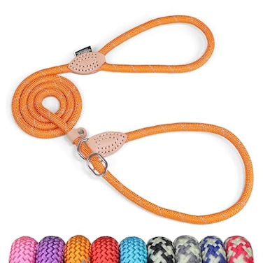 Grand Line Slip Lead Dog Leash No Pull Training Dog Lead with 5ft Reflective Rope Durable CollarFree for Small Medium Large Dogs and Puppies OrangeM