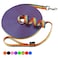 Hi Kiss DogPuppy Obedience Recall Training Agility Lead 15ft 20ft 30ft 50ft 100ft Training Leash Great for Training Play Camping or Backyard 100 Feet Rainbow