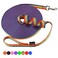 Hi Kiss DogPuppy Obedience Recall Training Agility Lead 15ft 20ft 30ft 50ft 100ft Training Leash Great for Training Play Camping or Backyard 100 Feet Rainbow
