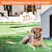 Libbipaw Chew Proof Dog Leash Extender 24 Wire Rope Extension for Small Medium Large Dogs Walking Training Puppies Dual 2Dog Leash Metal Cable Lead for Collar Harness Orange