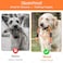 Libbipaw Chew Proof Dog Leash Extender 24 Wire Rope Extension for Small Medium Large Dogs Walking Training Puppies Dual 2Dog Leash Metal Cable Lead for Collar Harness Orange