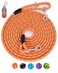 Lanwandeng Long Dog Leash for Training 10FT16FT20FT30FT50FT100FT Reflective Tie Out Heavy Duty Dog Lead for Large Medium Small Dogs Outside Walking Playing Camping Yard
