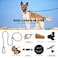 Lynxking lynxking Slip Lead Dog Leash Reflective Heavy Duty Comfortable Strong Rope for Large Medium Small Dogs No Pull Pet Training Black Large 12in x 6ftSlip Lead