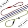 MayPaw Slip Lead Dog Leash 5 Ft PetPuppy Training Leash 14 Thin Nylon Rope Adjustable Pet Collar Lead for Small and XSmall Dogs 14 x 5ft Purple
