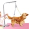 Oumefar Adjustable Pet Grooming Leash NoSit Haunch Holder Restraint Wash Choker Dogs Cats Grooming Table ArmYellowBlue