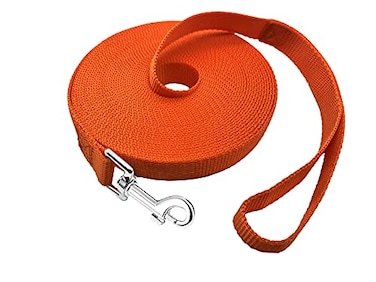 PETGOGO 15ft 20ft 30ft 40ft 50ft Long DogPuppy Lead Obedience Recall Training Dog Leashes for Small Medium Dogs Camping Training Play or Backyard 50 FT Orange