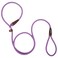 PetiFine Slip Lead 6FT x 38 Reflective Durable Dog Training Leash Heavy Duty Adjustable Nylon Dog Rope Leash for Small to Large Dogs Purple