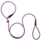 PetiFine Slip Lead 6FT x 38 Reflective Durable Dog Training Leash Heavy Duty Adjustable Nylon Dog Rope Leash for Small to Large Dogs Purple