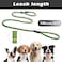 PetiFine Slip Lead Dog Leash 6FT x 12 Reflective Durable Training Rope Heavy Duty Adjustable Nylon for Small Medium Large Dogs Green