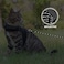 PETPMEEE Cat Leash 15 ft 30 ft Reflective Long Cat Leash Outdoor for Walking Training Playing Escape Proof Yard Lead Pet Leash Also for Cats Small Dogs Puppy Kitten Rabbit