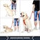 PLUTUS PET Plutus Pet Dog Leash 6ft LongTraffic Padded Two HandleHeavy DutyReflective Double Handles Lead for Control Safety TrainingLeashes for Large Dogs or Medium DogsDual Handles LeadsOrange