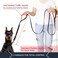 PLUTUS PET Plutus Pet Double Handle Dog Leash 6ft Long Padded 2 Handle Heavy Duty Reflective Training Leash for Medium Large Dogs Dual Handle Lead Black