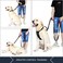 PLUTUS PET Plutus Pet Double Handle Dog Leash 6ft Long Padded 2 Handle Heavy Duty Reflective Training Leash for Medium Large Dogs Dual Handle Lead Black