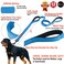 Primal Pet Gear Dog Leash 8ft Long Blue Traffic Padded Two Handle Heavy Duty Double Handles Lead for Control Safety Training Leashes for Large Dogs or Medium Dogs Dual Handles Leads