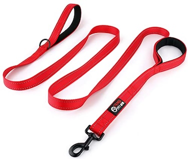 Primal Pet Gear Dog Leash 8ft Long RED Traffic Padded Two Handle Heavy Duty Double Handles Lead for Control Safety Training Leashes for Large Dogs or Medium Dogs Dual Handles Leads
