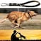 AncBace Short Leather Dog Leash 14 Inch Lead With 360 Heavy Duty Metal Clip Soft Strong Light for Medium and Large Dogs Pet Training Walking Rope
