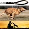 AncBace Short Leather Dog Leash 14 Inch Lead With 360 Heavy Duty Metal Clip Soft Strong Light for Medium and Large Dogs Pet Training Walking Rope