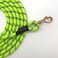 Shorven Nylon Strong Dog Rope Lead Reflective Training Dog Leash with Soft Handle 520 FT Long Green Dia05 15FT