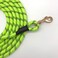 Shorven Nylon Strong Dog Rope Lead Reflective Training Dog Leash with Soft Handle 520 FT Long Green Dia05 15FT