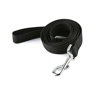 TAIDA Strong Nylon Dog Leash for Medium Large Dogs Walking Training or Exploring 10 feet Long 1 inch Wide
