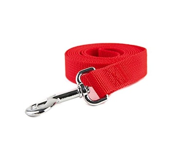 TAIDA Strong Nylon Dog Leash for Medium Large Dogs Walking Training or Exploring 10 feet Long 1 inch Wide
