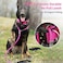 AaufiLux Strong Slip Rope Dog Training Leash 6ft Heavy Duty Durable Braided Nylon Lead with Rubber Stopper Padded Handle No Pull Walking for Medium Large Dogs Hot Pink 12 x 6ft