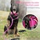 AaufiLux Strong Slip Rope Dog Training Leash 6ft Heavy Duty Durable Braided Nylon Lead with Rubber Stopper Padded Handle No Pull Walking for Medium Large Dogs Hot Pink 12 x 6ft