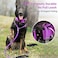 AaufiLux Strong Slip Rope Dog Training Leash 6ft Heavy Duty Durable Braided Nylon Lead with Rubber Stopper Padded Handle No Pull Walking for Medium Large Dogs Purple 12 x 6ft